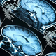 Image for article titled Our brains can be logical and compassionate — just not at the same time